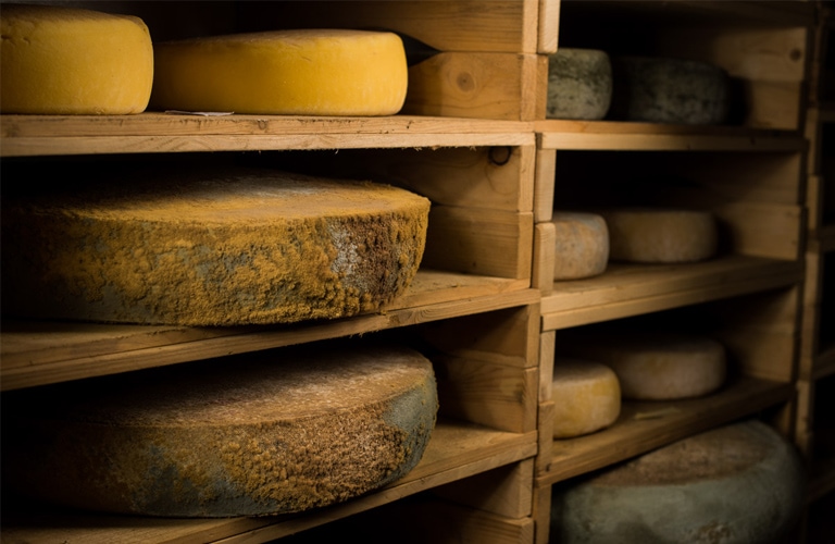 fromage rangés dans une étagère en bois